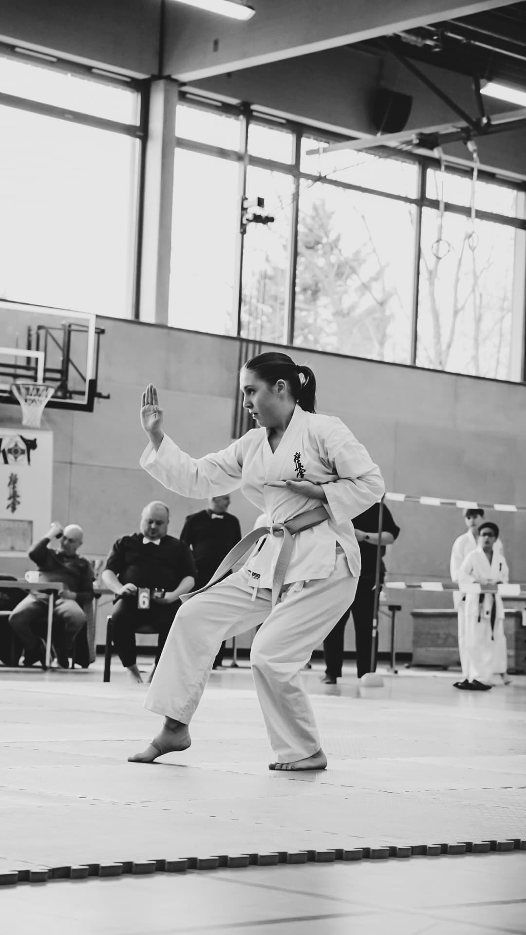 Kyokushin Karate Training