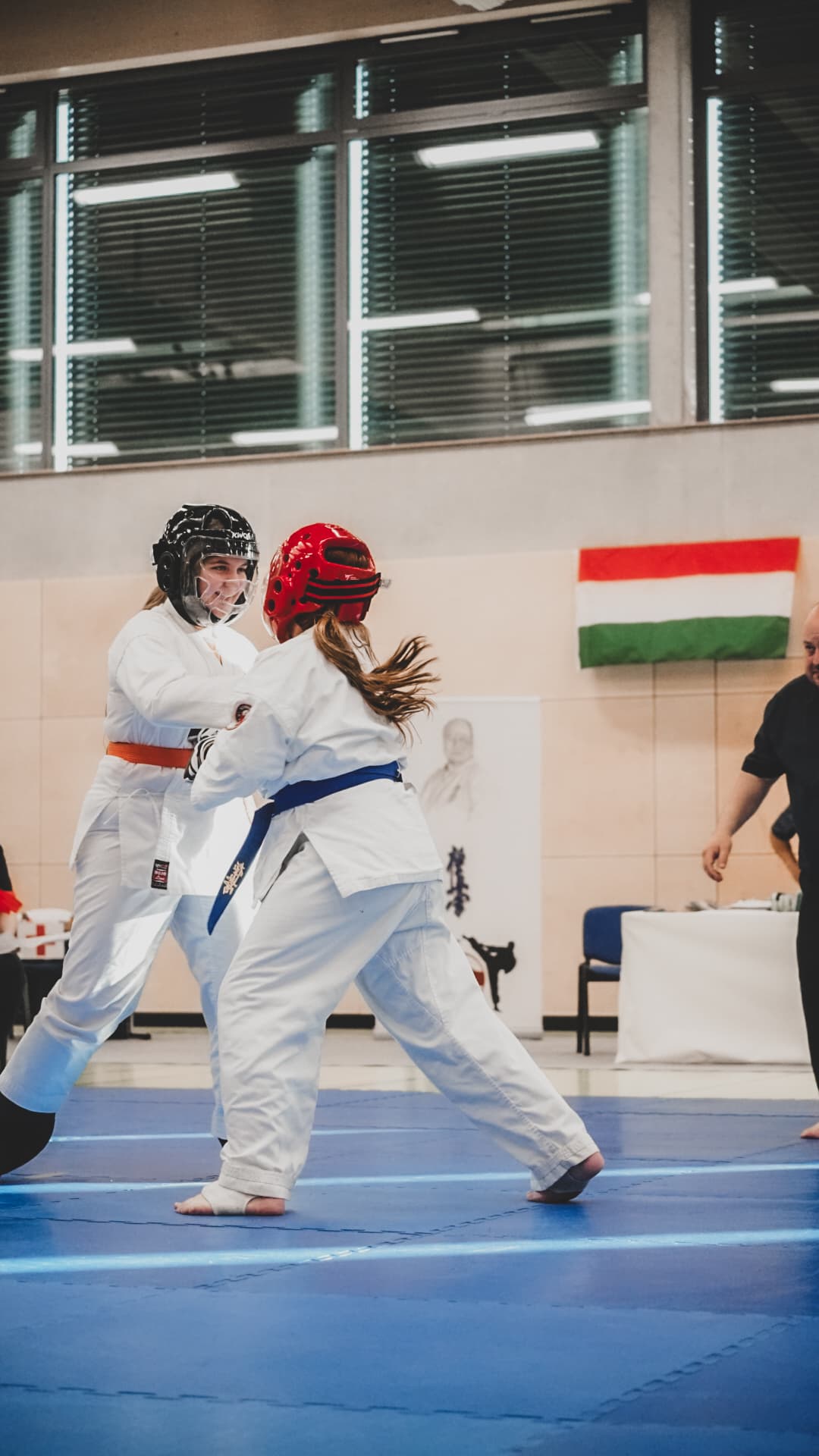 Kyokushin Karate Training