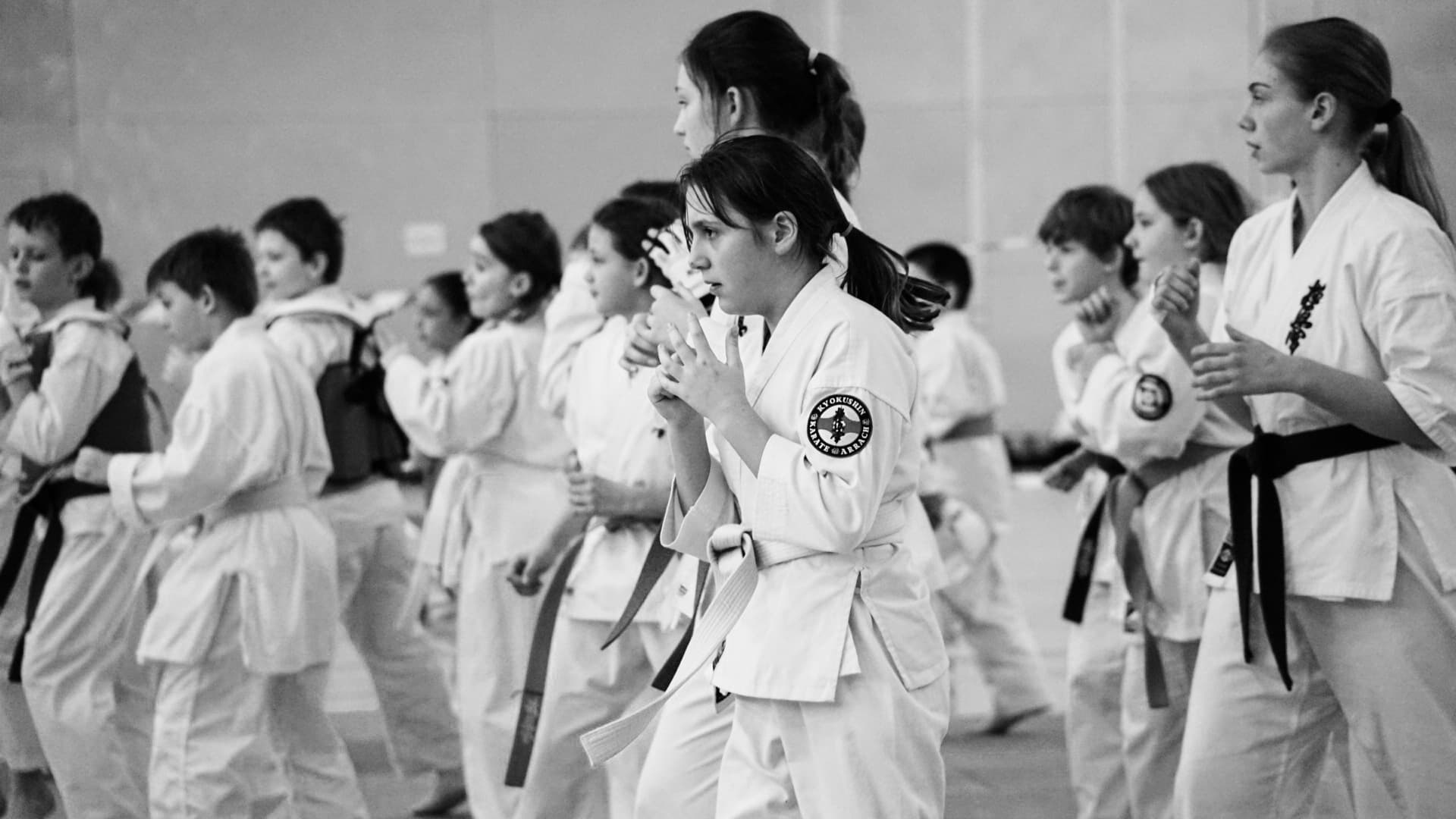 Kyokushin Karate Training