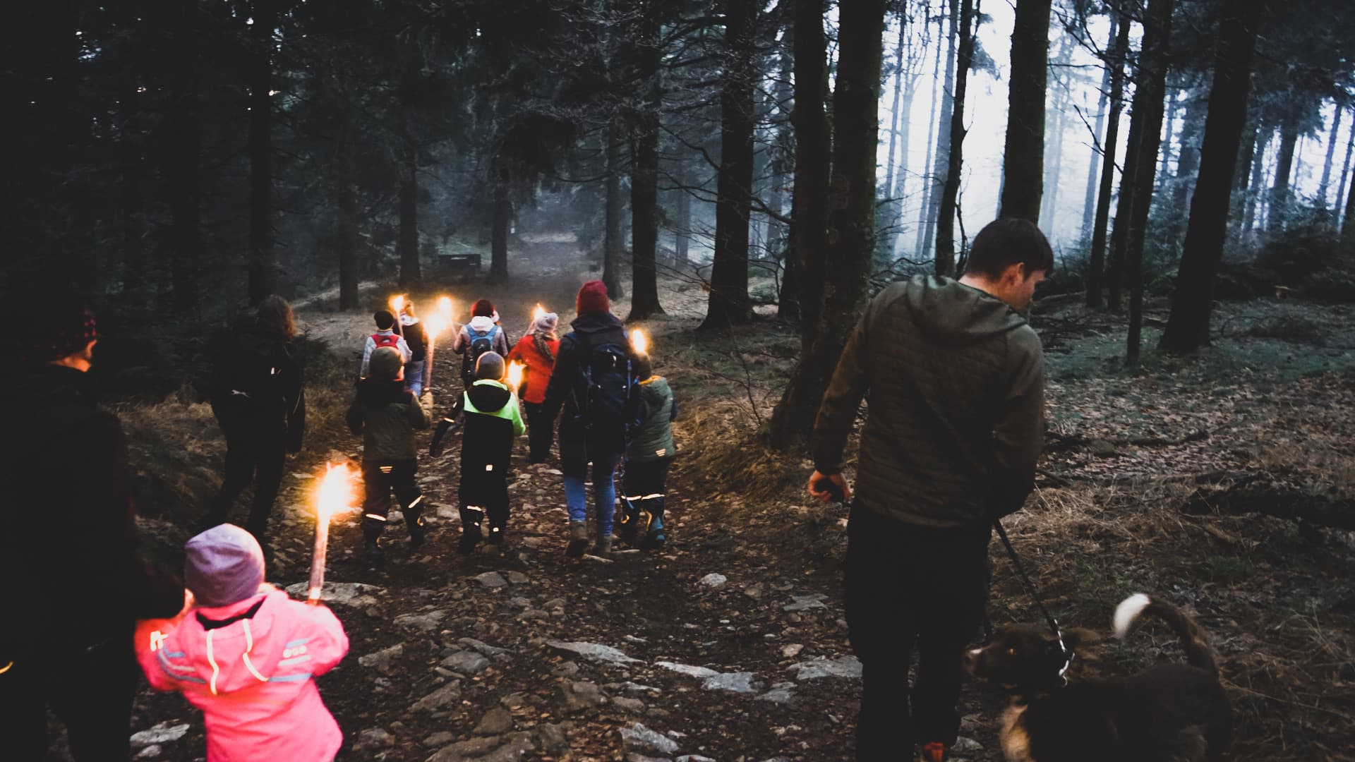 Kyokushin Karate Training