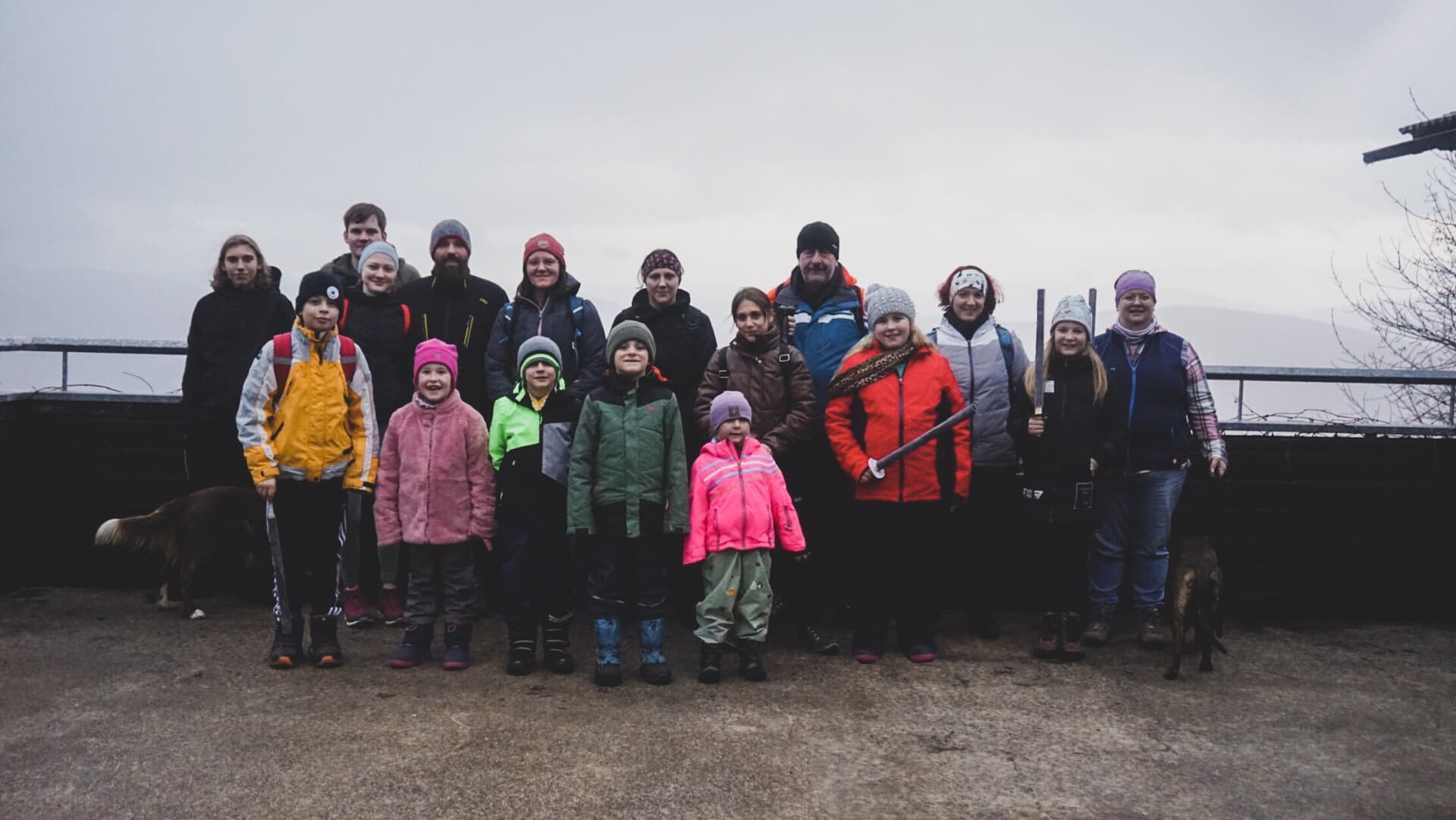 Kyokushin Karate Training