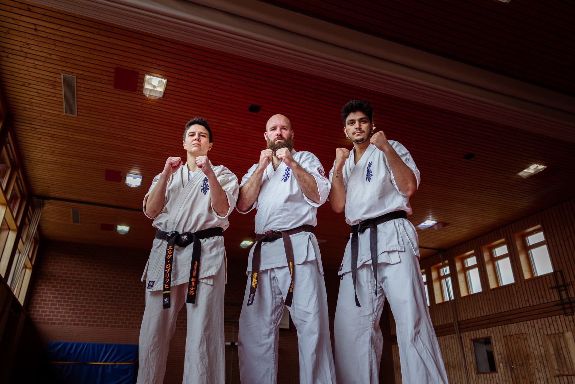 Kyokushin Karate Training