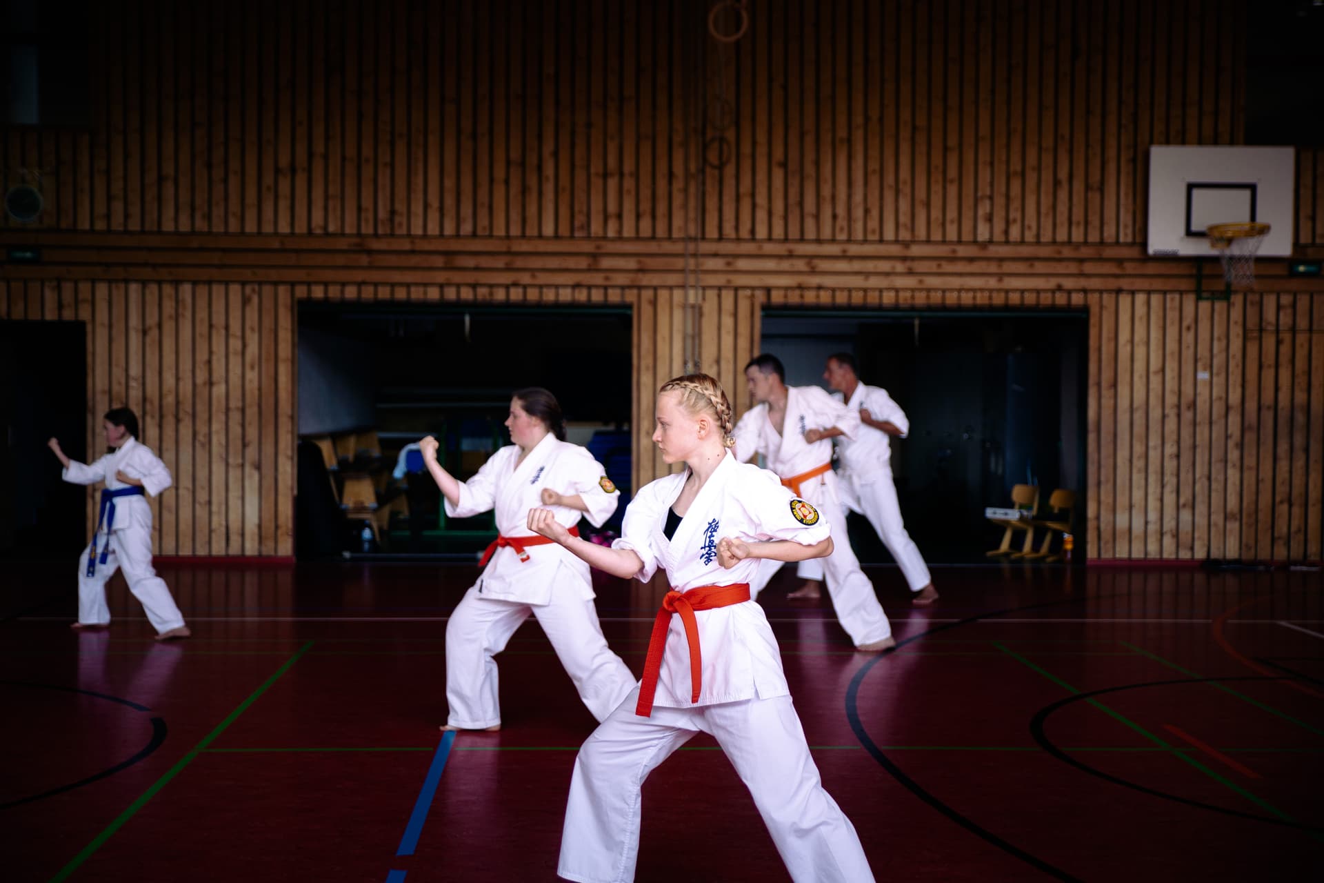 Kyokushin Karate Training