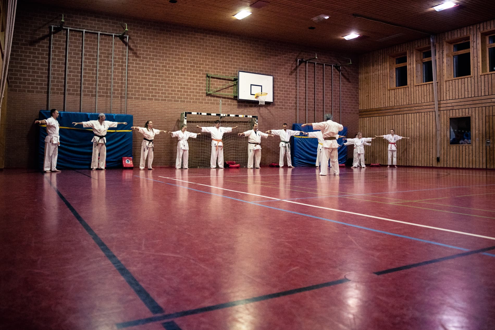 Kyokushin Karate Training
